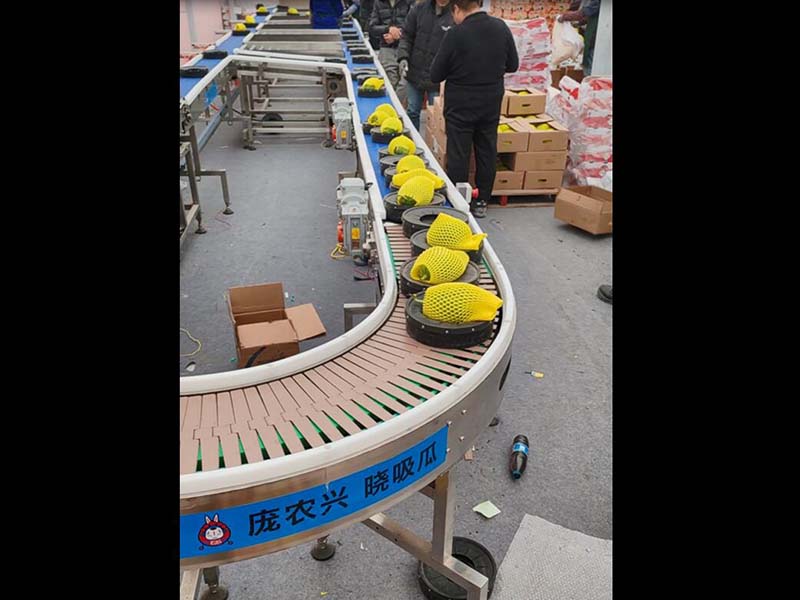 水果分選機(jī)（橙子、柑橘）