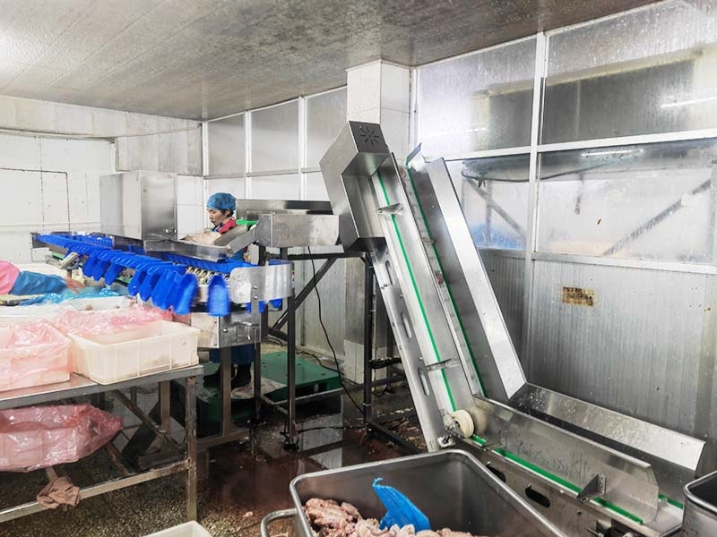 料盒分選機(jī)（白條雞鴨、雞瓜、雞脖、翅中、海參、海蠣子、牡蠣、小龍蝦）