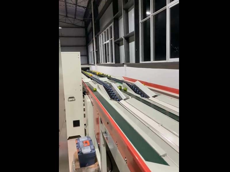 橙子、柑橘分選機