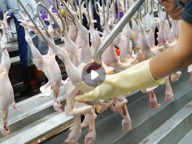 吸肺機（雞肺、甲魚內臟、油脂）