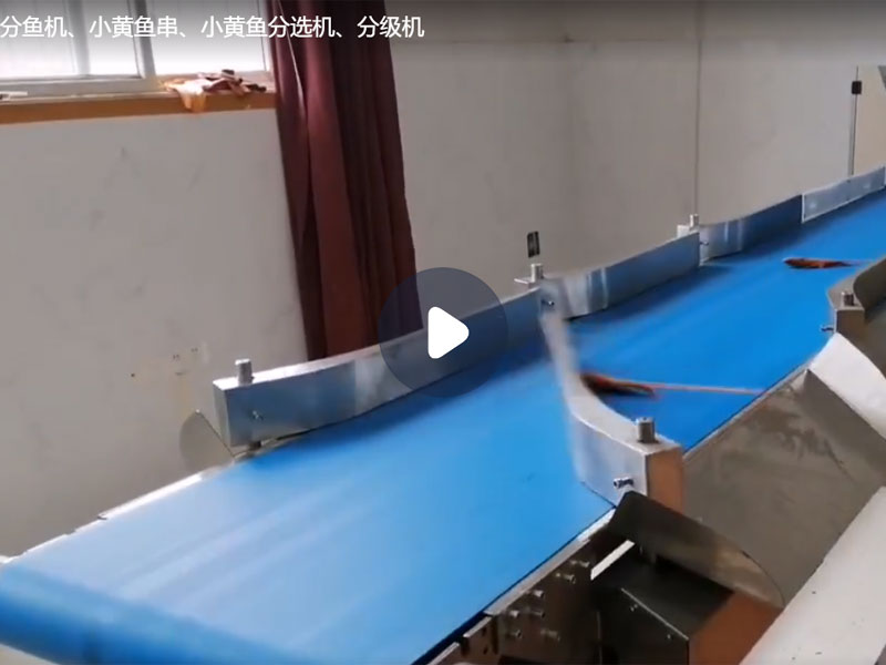 分魚(yú)機(jī)、小黃魚(yú)串、小黃魚(yú)分選機(jī)、分級(jí)機(jī)